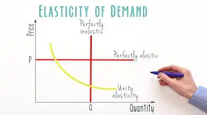 Assignment helpers showing elasticity of demand